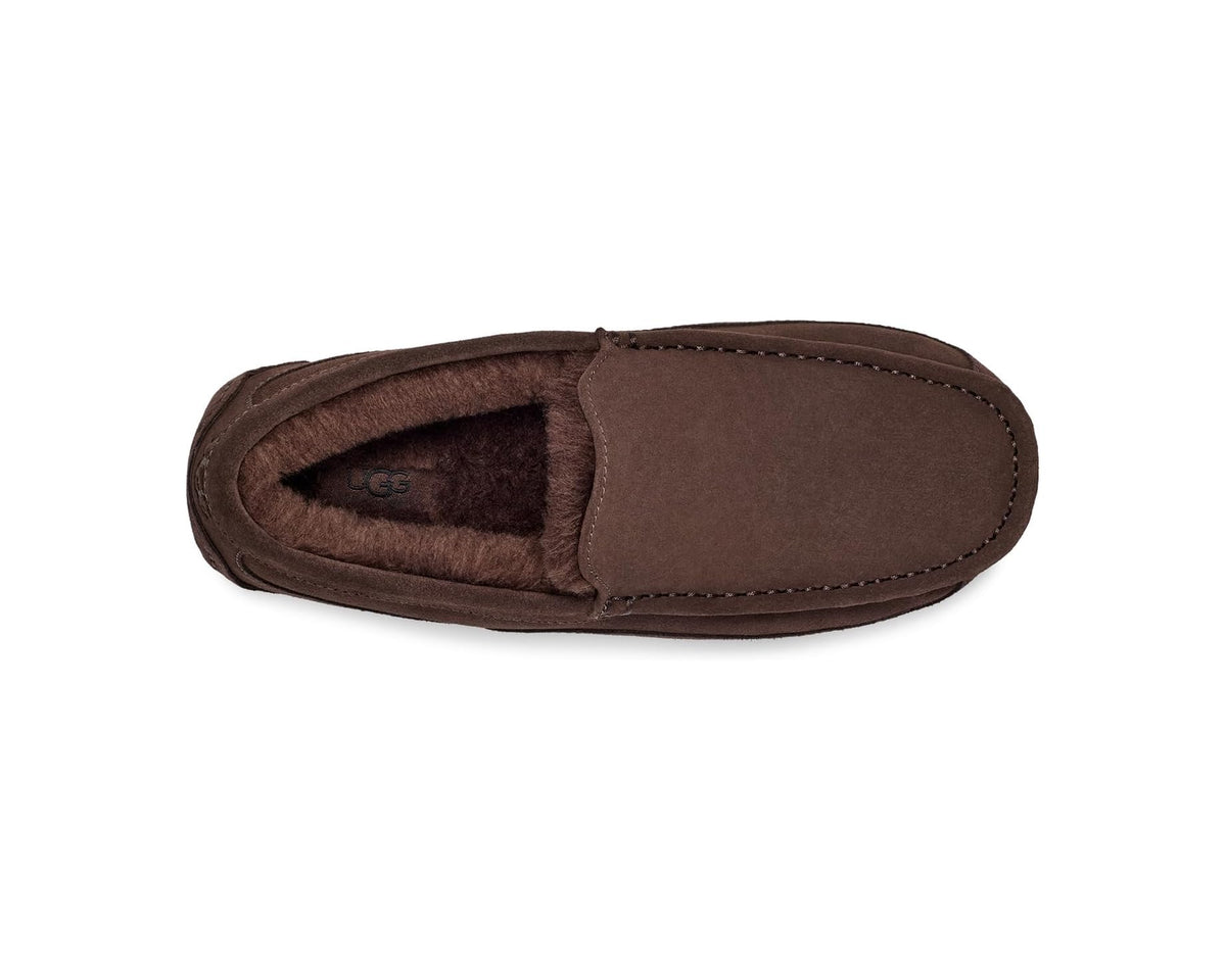 Men's UGG Ascot Dusted Cocoa