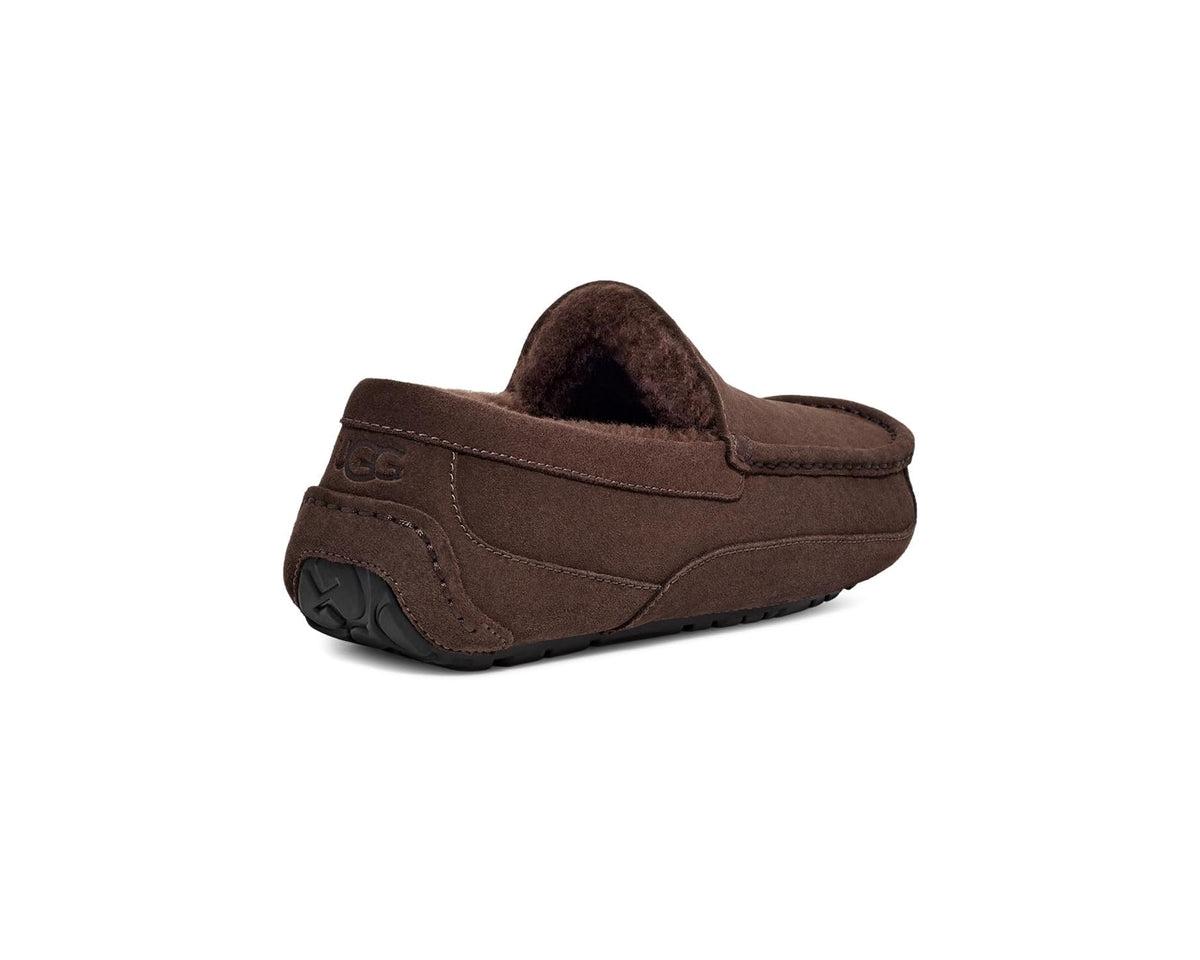 Men's UGG Ascot Dusted Cocoa