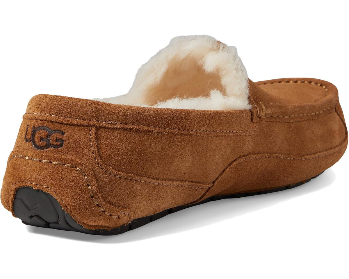 Men's UGG Wide Ascot Chestnut