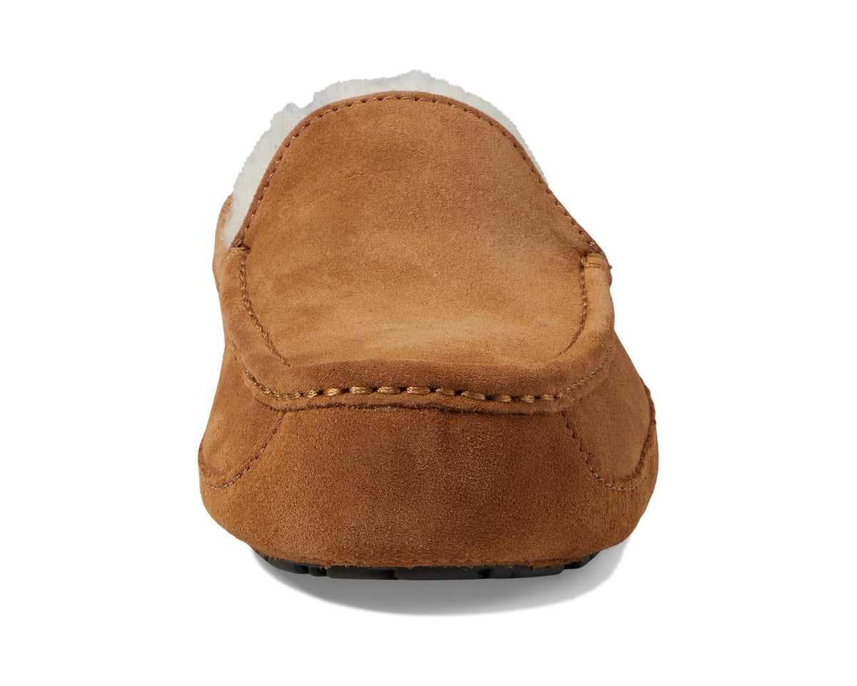 Men's UGG Wide Ascot Chestnut